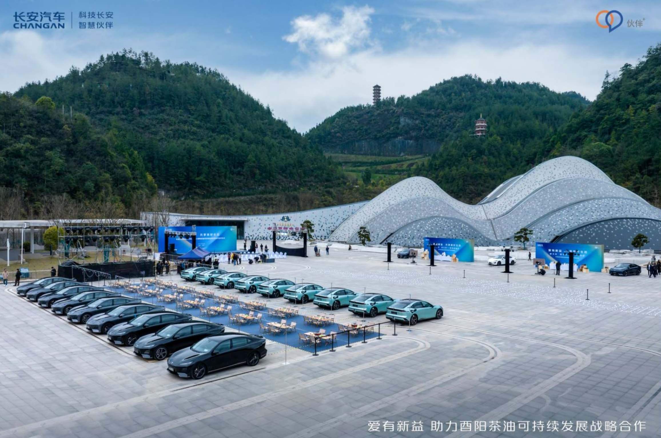 长安跨界新公益再进阶，深化酉阳茶油可持续发展模式