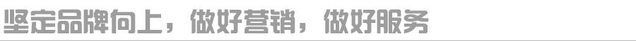 骑士说｜东风雪铁龙品牌复兴，从凡尔赛C5 X开始